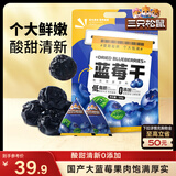 三只松鼠每日蓝莓干500g 蜜饯果干酸甜休闲零食下午茶孕妇儿童健康零食