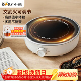 小熊（Bear）迷你电陶炉 煮茶器煮茶炉煮茶壶 养生围炉煮茶老白茶黑茶花茶泡茶不挑器具 DTL-J13N3