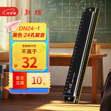 敦煌24孔复音口琴DN24-1 黑色 成人初学推荐 C调 入门演奏