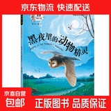 奇趣动物绘本全套6册 少儿百科全书科普绘本动物世界 黑夜里的动物精灵 无规格