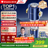 惠尔顿前置过滤器15T大通量过滤25微米反冲洗家用全屋净水器 实时自动清洗刮洗自来水防爆过滤器P0038pro 自行安装【15T-升级25微米精滤】
