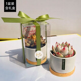 绿荫巷子多肉植物组合套餐肉肉室内植物办公室电脑桌面盆栽好养活小盆栽 1盆礼盒装【圆瓷盆+竹托】可选植物