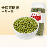 素养生活有机绿豆1斤 绿豆汤 绿豆粥 绿豆沙 五谷杂粮 东北农家绿豆