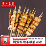 锡林之星 内蒙古锡盟羔羊肉生鲜羊板筋串20串 烧烤食材半成品烤串真空包装 羊板筋串20串 带烧烤料