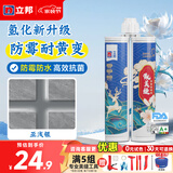 立邦美缝剂防水防霉甄美缝瓷砖地砖填缝剂美缝胶专用工具勾缝剂 【氢化耐黄变】亚浅银 400g