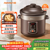 九阳（Joyoung）电炖锅电炖盅5L大容量紫砂预约电砂锅 多功能锅 智能定时精炖煮粥煲汤锅DG50Z-GD510