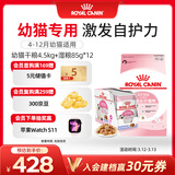 皇家幼猫 干湿搭配   K36 4.5KG+ KJP 85G*12