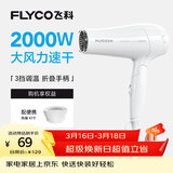 飞科（FLYCO）电吹风机家用发廊大功率2000W速干恒温便携可折叠白色FH6232