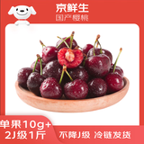 京鲜生 大连美早樱桃 车厘子 2J级 1斤装 单果10g+ 生鲜水果