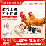 杨博士 皖南散养土鸡仔公鸡2只 净重2斤及以上 整鸡带鸡胗鸡心源头直发