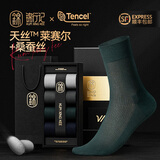 锦行记[天丝+桑丝]袜子男士商务中筒袜春夏季薄款网眼抗菌防臭 中筒款【4黑色】 4双 均码