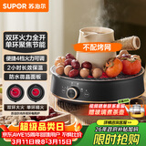 苏泊尔（SUPOR）迷你电陶炉 煮茶器煮茶炉煮茶壶 养生围炉煮茶泡茶办公家用不挑器具SW-DTL05
