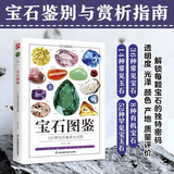 宝石图鉴 110种宝石鉴赏大百科 从钻石翡翠，到小众稀有的蓝锥矿苏纪石 宝石爱好者与从业者的实用指南