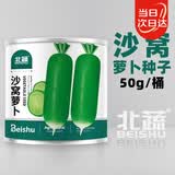 北蔬 青萝卜种子苗夏秋水果萝卜生吃脆甜蔬菜籽 沙窝萝卜种子50g桶装