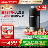 WISESKY韦思卡尔反重力前置过滤器大通量全屋家用前十名反冲洗净水器80T