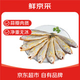 鲜京采舟山鲜捕小黄鱼3斤净重 15-18条/斤 生鲜 源头直京东自有品牌