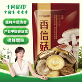 十月稻田 香信菇 150g 庆元产 香菇 山珍菌菇干货 煲汤火锅炒菜食材