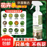 小黑飞杀虫剂家用花盆花土壤灭花卉植物里面有非专杀虫虫净飞虫药 【升级版】花卉杀虫剂500ml*1瓶