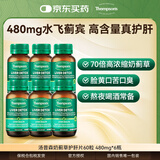 汤普森（Thompson's）奶蓟草护肝片60粒6瓶 含480mg水飞蓟宾养肝去油熬夜加班应酬常备