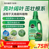 美乐棵 天南星科营养液家庭园艺花肥肥料园艺种植液浓缩植物营养液500ML