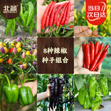 北蔬辣椒种子苗美人椒朝天椒薄皮皱椒四季阳台蔬菜籽 8种辣椒种子大全