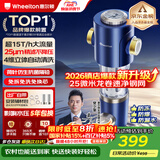 惠尔顿前置过滤器15T大通量过滤25微米反冲洗家用全屋净水器 实时自动清洗刮洗自来水防爆过滤器P0038pro 自行安装【15T-升级25微米精滤】
