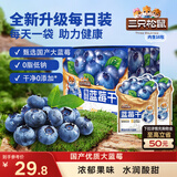 三只松鼠每日蓝莓干256g/16包 无添加水果干果脯小包装儿童老人办公室零食