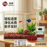 汉洋（HANYANG）鱼缸滤材水族箱底砂龟多肉装饰造景摆件增色降酸水质火山石岩2斤