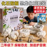 帕卡洛恐龙化石考古挖掘玩具二年级科学石膏骨架模型套装3-6岁8生日礼物 恐龙套餐A【霸王龙+棘龙+雷龙+三角龙】