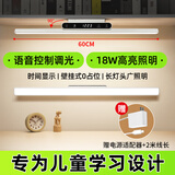 万火壁挂式台灯护眼灯学生学习台灯磁吸学习桌专用儿童书桌灯长条宿舍