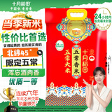 十月稻田 2025年新米 五常香米 五常大米 20斤（东北大米 10公斤）