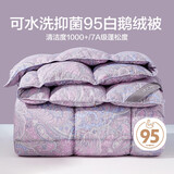 博洋家纺羽绒被 抑菌可水洗95%白鹅绒被子 四季被芯500g填充200*230cm
