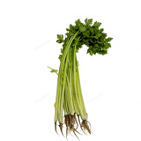 香芹约300g