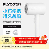 飞科 FLYCO 电吹风机宿舍用 柔风负离子恒温护发 家用冷热大风量快速干发吹风筒FH6290 1800W