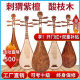中原之声刺猬紫檀琵琶乐器专业级儿童成人微凹黄檀大果紫檀酸枝木绿檀 成人-【专业非洲紫檀木】演奏级