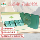 日照绿茶茶叶2025新茶碧螺山无公害茶叶浓香板栗香250g生态礼盒山东特产