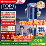 惠尔顿前置过滤器15T大通量过滤25微米反冲洗家用全屋净水器 实时自动清洗刮洗自来水防爆过滤器P0038pro 上门安装【15T-升级25微米精滤】