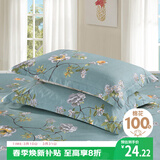 艾薇 A类枕头套纯棉家用全棉单人枕套一对枕芯套 清馨花园 48*74cm