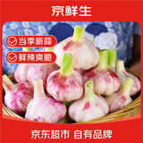 京鲜生云南紫皮鲜蒜 净重5斤 大果4.5-5cm湿蒜带泥大蒜多瓣蒜 源头直发