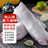 鲁南顺发整只猪蹄 4只净重共1800g 猪肉猪脚整个煲汤 源头直发