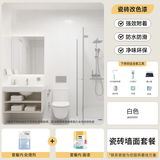 三青 水性瓷砖玻璃漆家用墙面卫生间耐磨防水漆翻新改色漆套装 白色