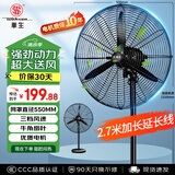 华生（Wahson）工业风扇电风扇强力超大落地扇大风力工厂车间工业扇商用风扇交流定频工业电风扇牛角扇FL-50加强