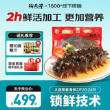 珍品堂 大连即食海参 底播辽参 开袋即食独立包装海参即食 送长辈礼物品 【大分量 全家共享】即食海参2斤20-24只
