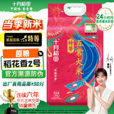 十月稻田 当季新米 官方溯源 特等五常大米 原粮稻花香2号 东北大米 10斤