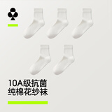 有棵树女士袜子女10A抗菌消臭纯棉中筒袜秋冬柔软吸汗透气休闲百搭长袜