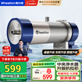 惠尔顿（WHEELTON） 全屋中央净水器系统家用厨下净水器前置过滤器自来水农村井水大流量管道超滤机别墅小区房车商用 UF2厨房/房车够用4000L