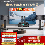 威斯汀家庭ktv音响套装唱歌全套设备卡拉ok影院会议舞台商超家用客厅全新升级108音箱套装 108豪华版+393+K83