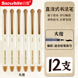 白雪（snowhite）直液式秀丽笔大楷 勾线笔软笔式仿毛笔头练字签名书法绘画美工笔12支 大楷 PM38