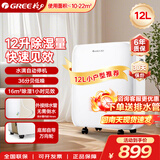 格力（GREE） 除湿机/抽湿机家用回南天除湿神器抽湿器卧室办公室地下室轻音除湿器 12L/天 建议20平方以内