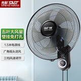 先科（SAST）风扇/壁扇/电风扇/宿舍餐厅电风扇/大风力/交流定频/壁挂式电风扇FB-308 